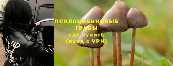 эйфоретик Аркадак