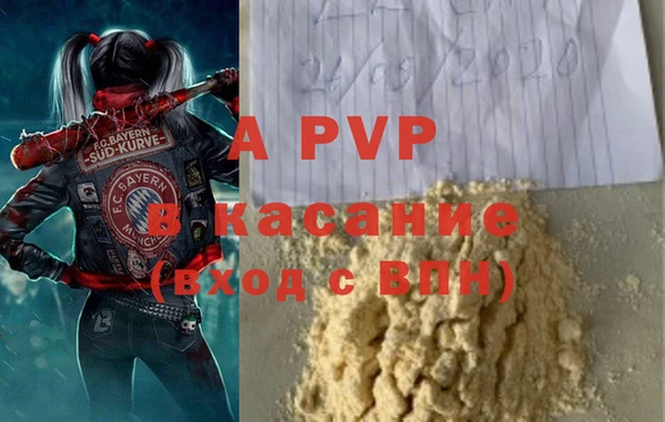 эйфоретик Аркадак