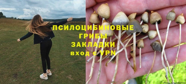 PSILOCYBIN Армянск